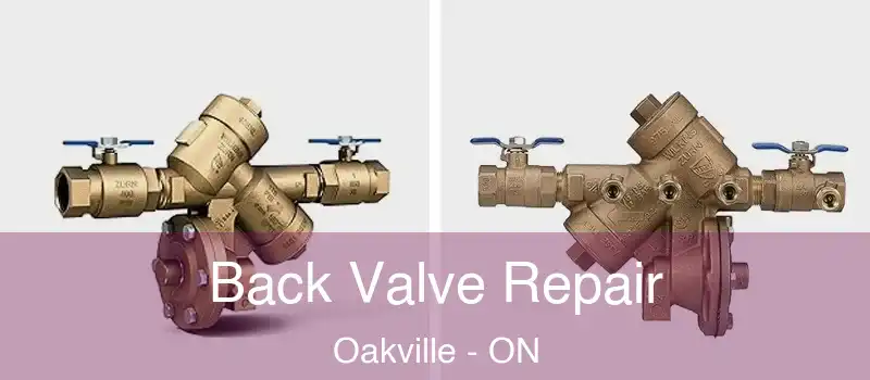  Back Valve Repair Oakville - ON