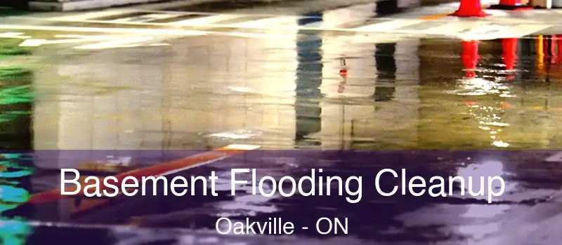  Basement Flooding Cleanup Oakville - ON