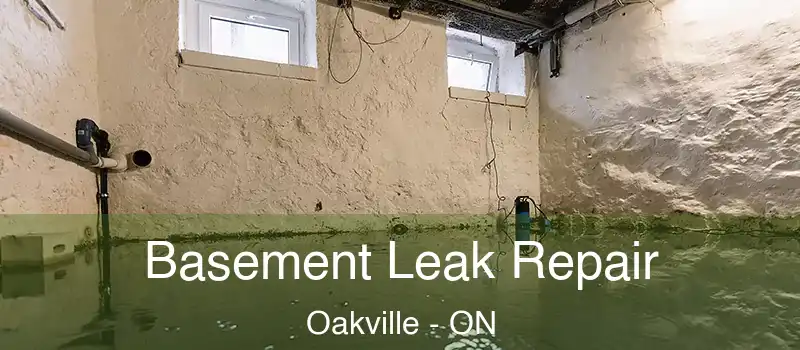  Basement Leak Repair Oakville - ON