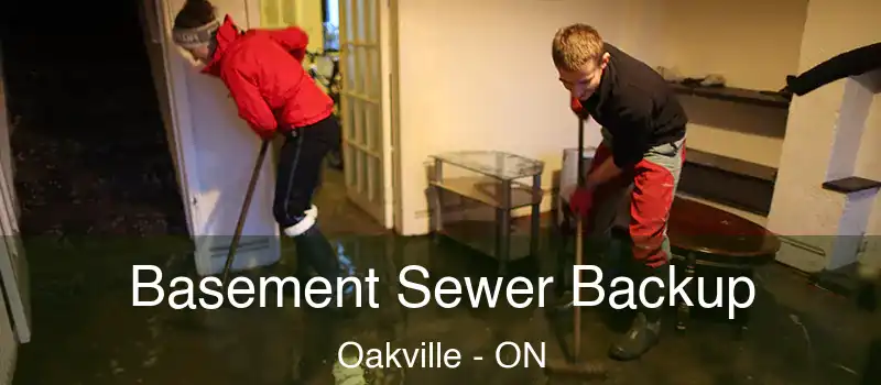  Basement Sewer Backup Oakville - ON