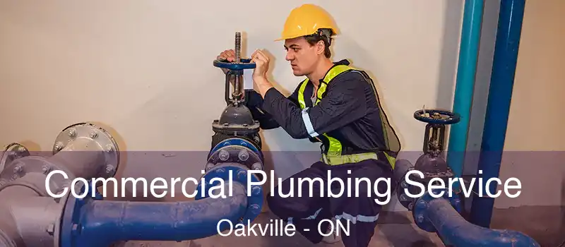  Commercial Plumbing Service Oakville - ON