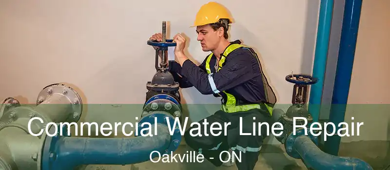 Commercial Water Line Repair Oakville - ON
