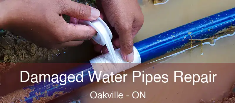  Damaged Water Pipes Repair Oakville - ON