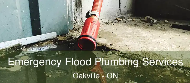  Emergency Flood Plumbing Services Oakville - ON