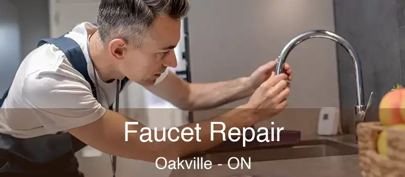  Faucet Repair Oakville - ON