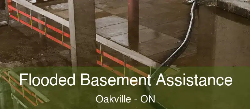  Flooded Basement Assistance Oakville - ON