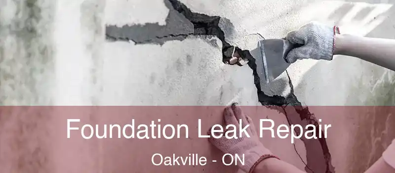  Foundation Leak Repair Oakville - ON