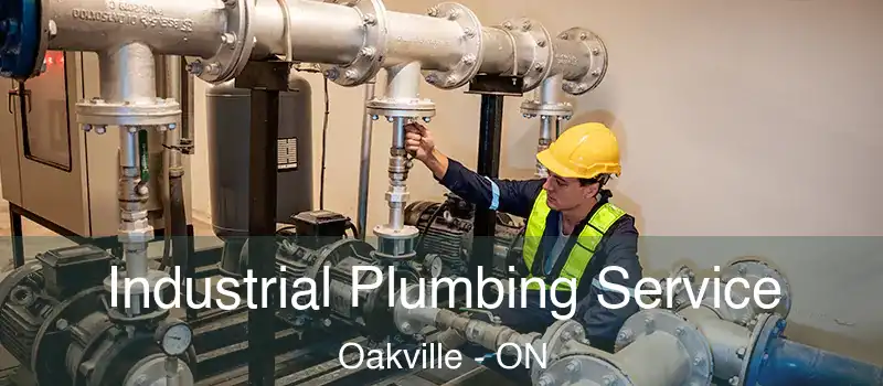 Industrial Plumbing Service Oakville - ON