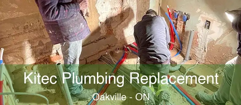  Kitec Plumbing Replacement Oakville - ON