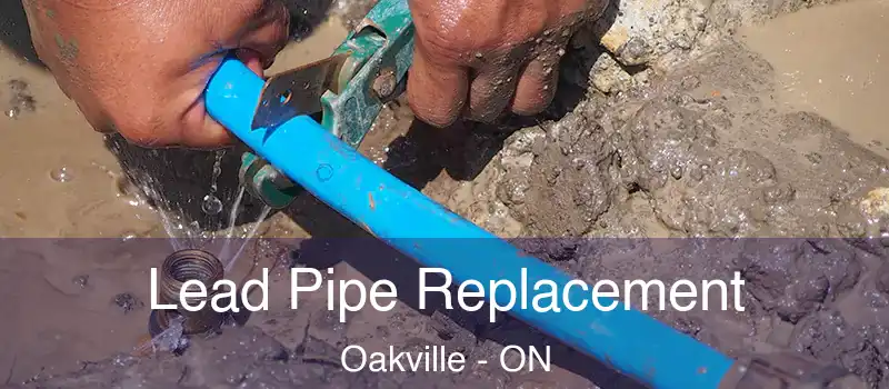  Lead Pipe Replacement Oakville - ON