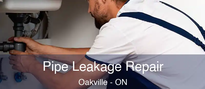  Pipe Leakage Repair Oakville - ON