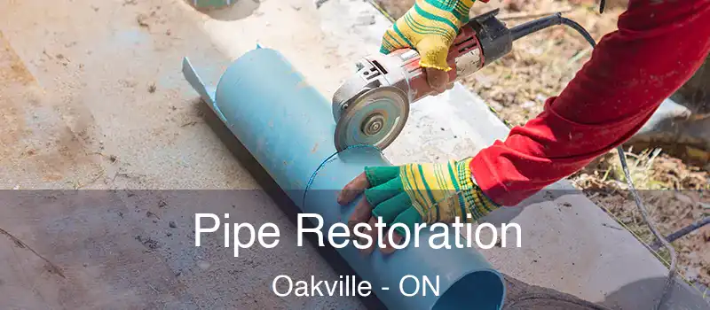  Pipe Restoration Oakville - ON