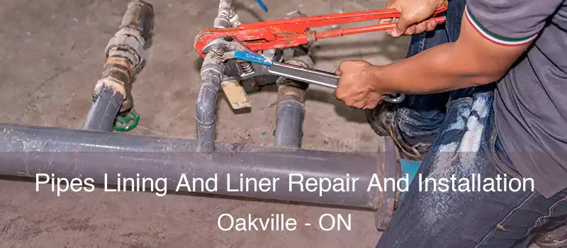  Pipes Lining And Liner Repair And Installation Oakville - ON