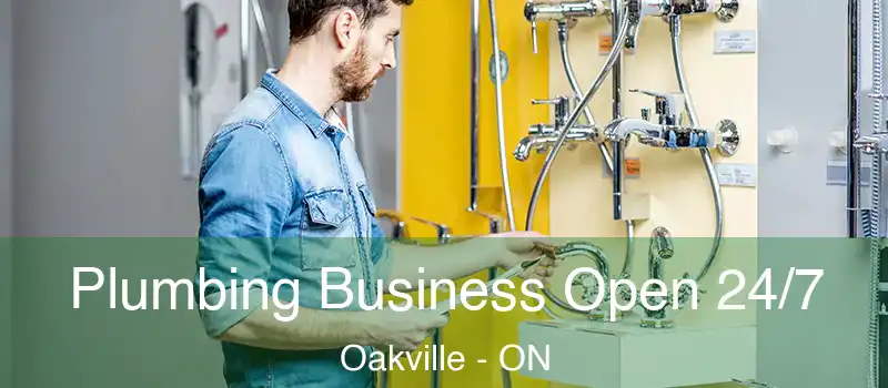 Plumbing Business Open 24/7 Oakville - ON