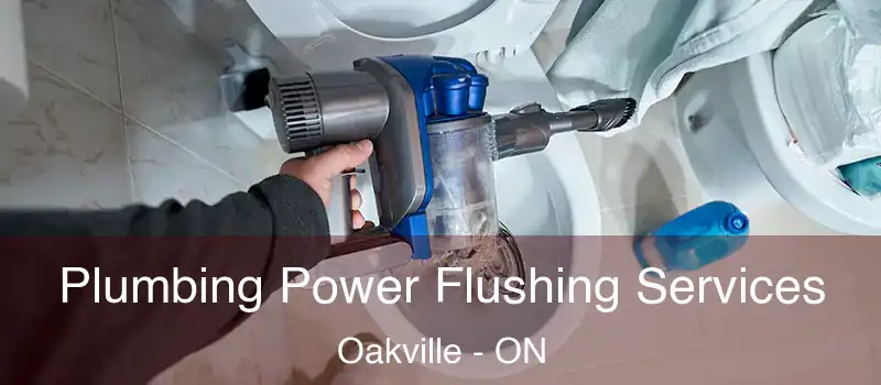  Plumbing Power Flushing Services Oakville - ON