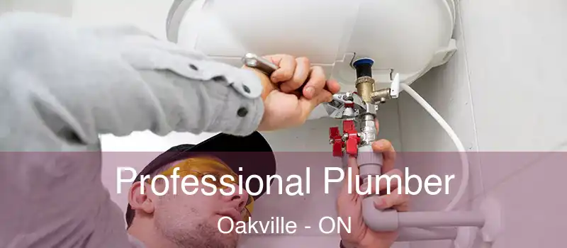  Professional Plumber Oakville - ON