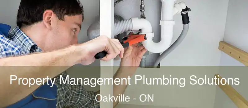  Property Management Plumbing Solutions Oakville - ON