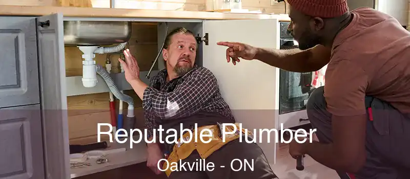  Reputable Plumber Oakville - ON