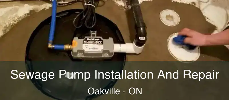  Sewage Pump Installation And Repair Oakville - ON