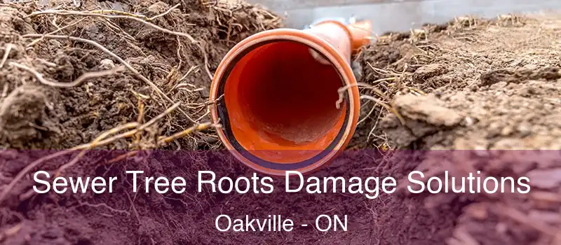  Sewer Tree Roots Damage Solutions Oakville - ON