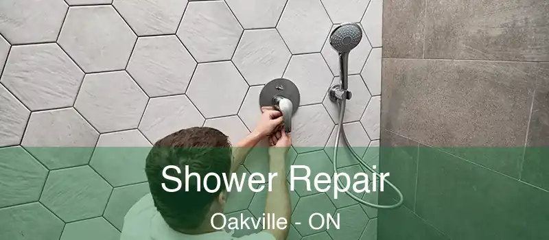  Shower Repair Oakville - ON