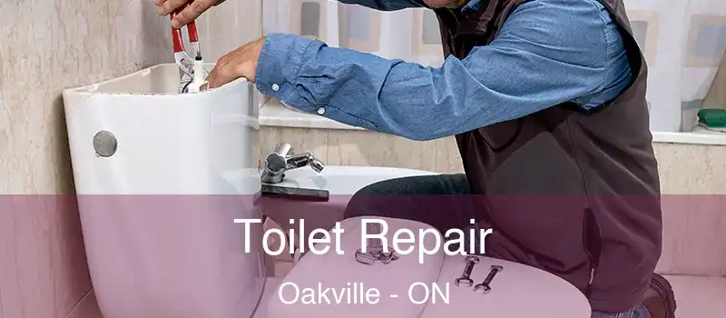  Toilet Repair Oakville - ON