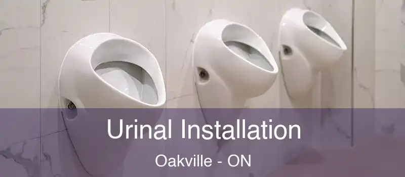  Urinal Installation Oakville - ON