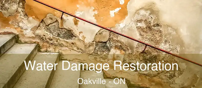  Water Damage Restoration Oakville - ON