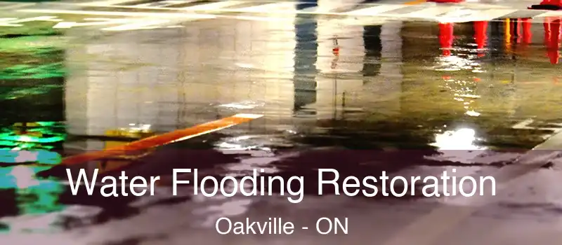  Water Flooding Restoration Oakville - ON