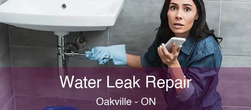  Water Leak Repair Oakville - ON