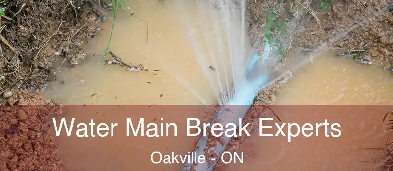  Water Main Break Experts Oakville - ON