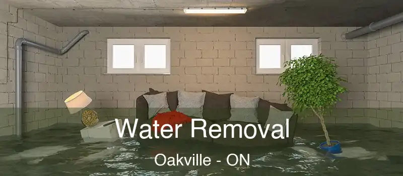  Water Removal Oakville - ON